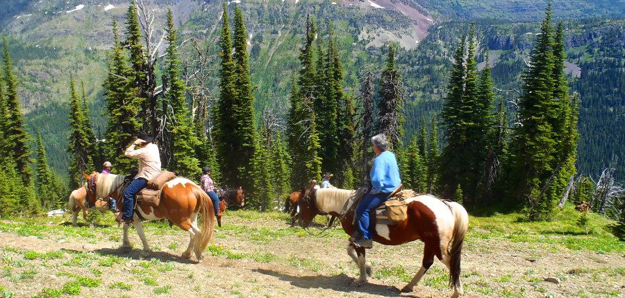 Fish & Ride Montana: Day Trips