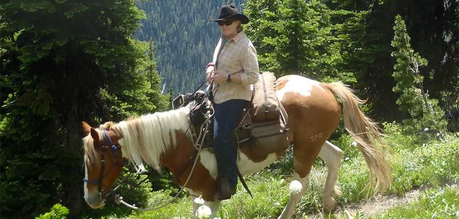 Guided Montana Horseback Riding