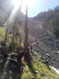 Lion Creek Pass