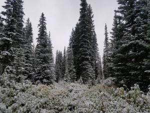 Upper Camp with snow