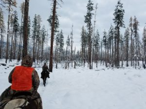 Hunting in the Swan Valley