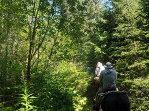 Riding up to Upper Camp