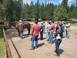 students learn how to fit saddles