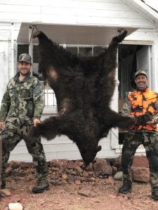 Montana guided bear hunts