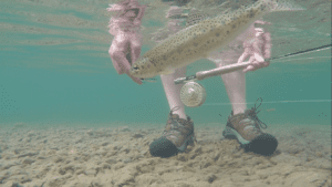 Fly fishing on Montana's Swan River near Glacier National Park