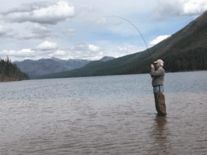 Fishing wild trout from Salmon Forks location