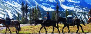 Wilderness Pack Trips - Swan Mountain Outfitters