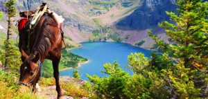horse eating above palisades lake