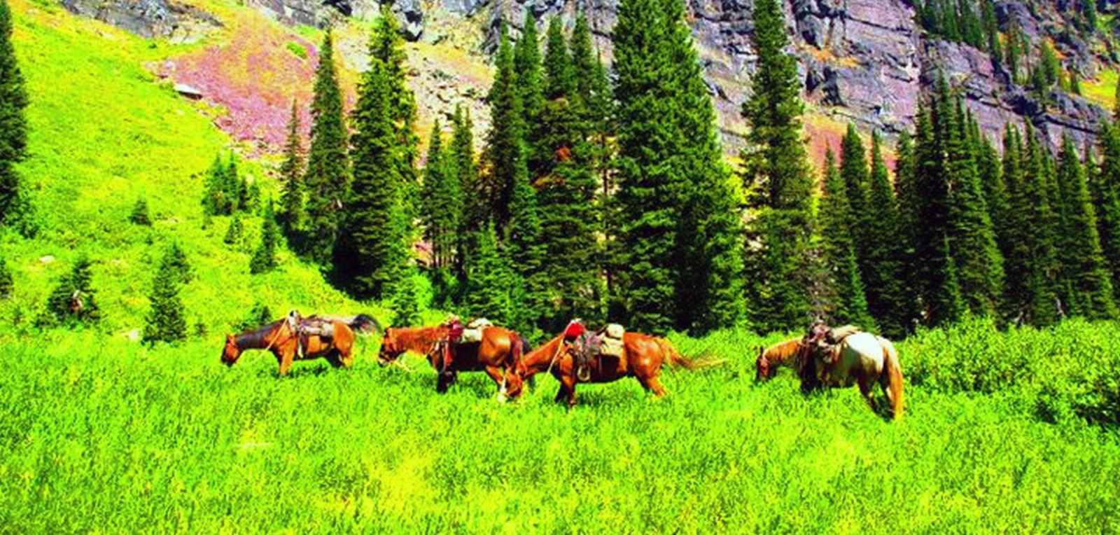 montana horseback camping trips