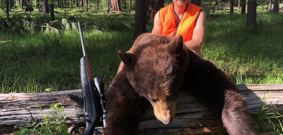Montana Black Bear Hunts