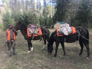 Montana's Bob Marshall Wilderness elk hunts