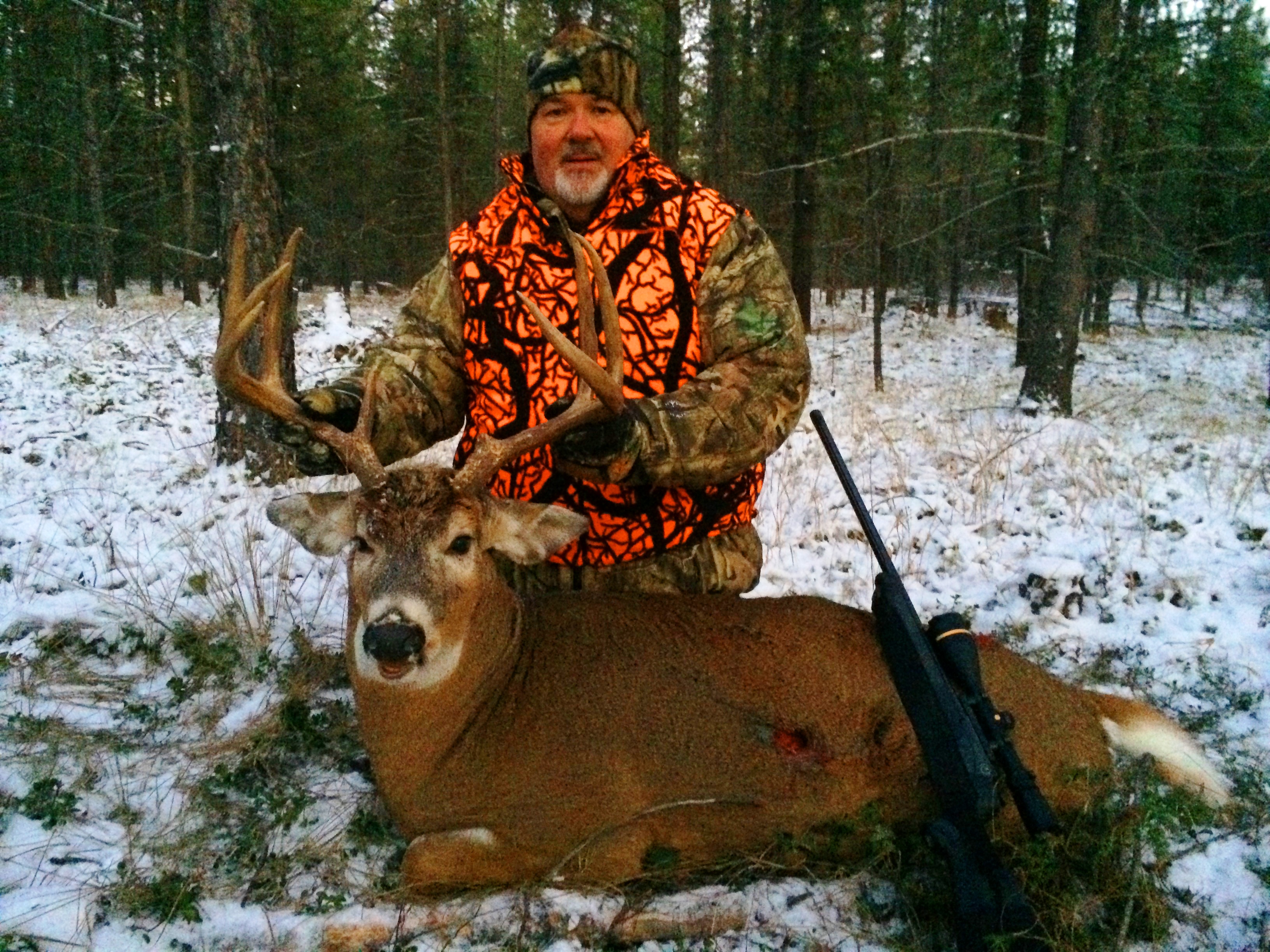 How Do You Hunt Whitetail Deer for Beginners? 